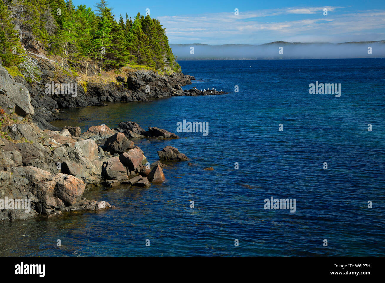 Rocky coast, Sandy Cove Beach Park, Eastport, Newfoundland and Labrador