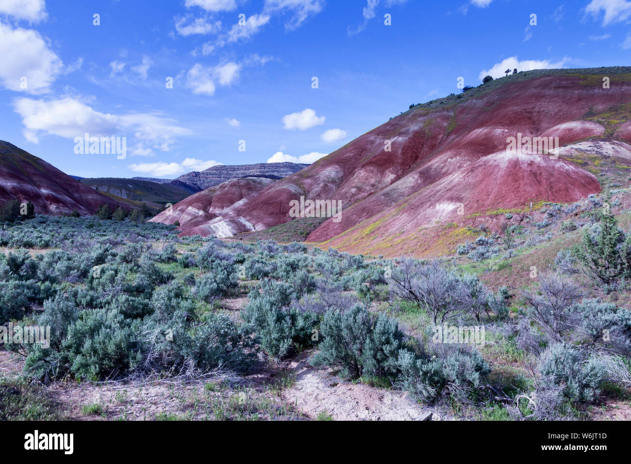Oregon's Painted Hills is one of the three units of the John Day Fossil Beds National Monument, located in Wheeler County, Oregon. It totals 3,132 acr Stock Photo