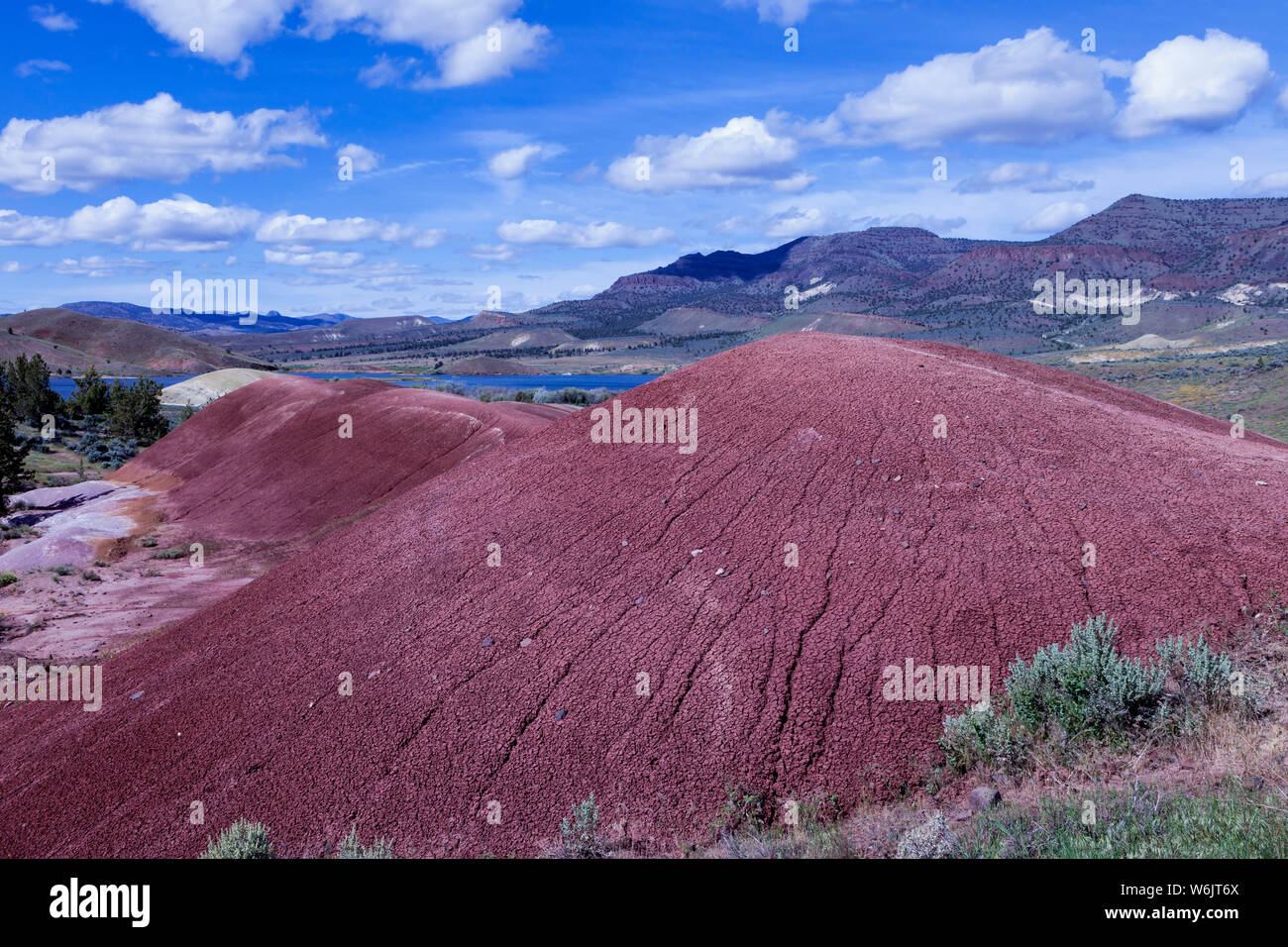 Oregon's Painted Hills is one of the three units of the John Day Fossil Beds National Monument, located in Wheeler County, Oregon. It totals 3,132 acr Stock Photo