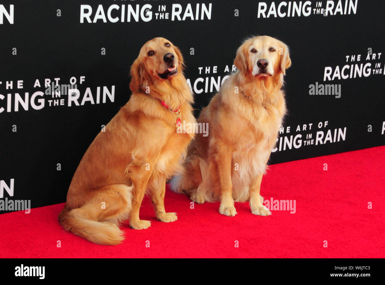 Hollywood, California, USA 1st August 2019 Dogs from the film attend ...