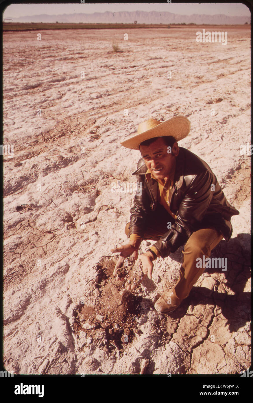 POOR SOIL, DAMAGED BY ACCUMULATED SALT, IS EXAMINED BY MEXICAN FARMER, GILBERTO BUITIERREZ BANAGA, NEAR MEXICALI, MEXICO MEXICANS WANT BETTER QUALITY WATER FROM COLORADO RIVER PRESENTLY SALT CONTENT IS EXTREMELY HIGH AT MEXICAN BORDER Stock Photo