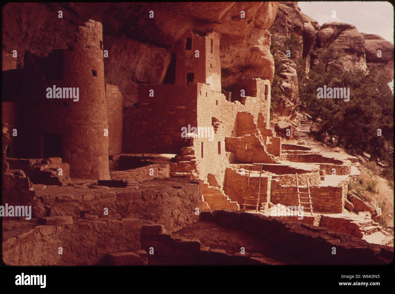 Photograph of Cliff Palace at Mesa Verde National Park Stock Photo - Alamy