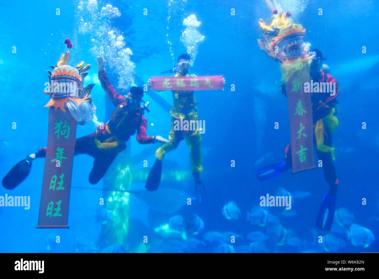 Underwater dragon dance hi-res stock photography and images - Alamy