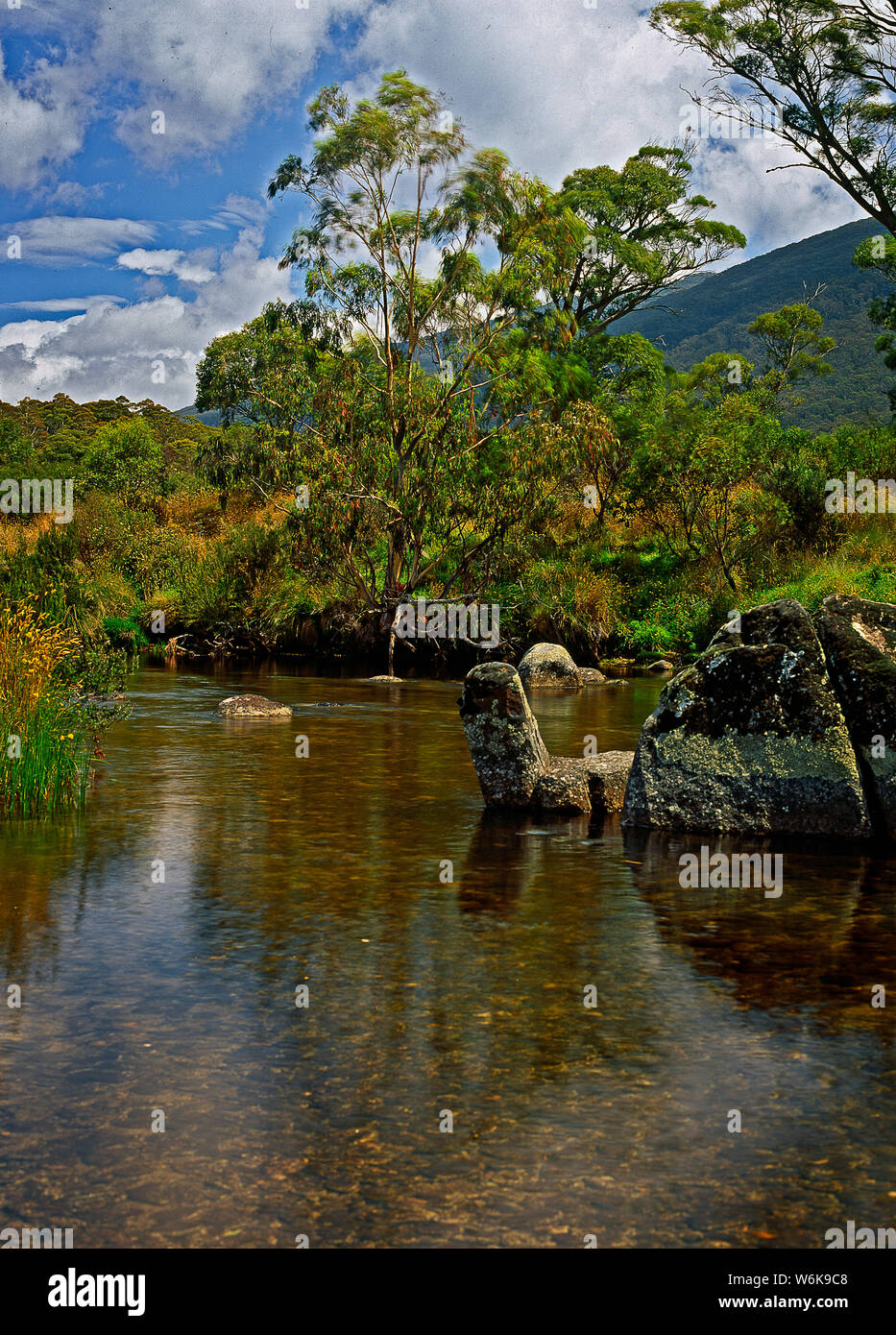 Australia: Thredbo River, Snowy Mountains, NSW Stock Photo