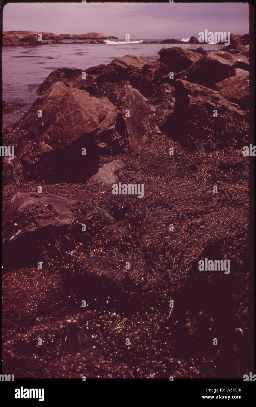 ROCKY SHORE ON RHODE ISLAND SOUND Stock Photo Alamy