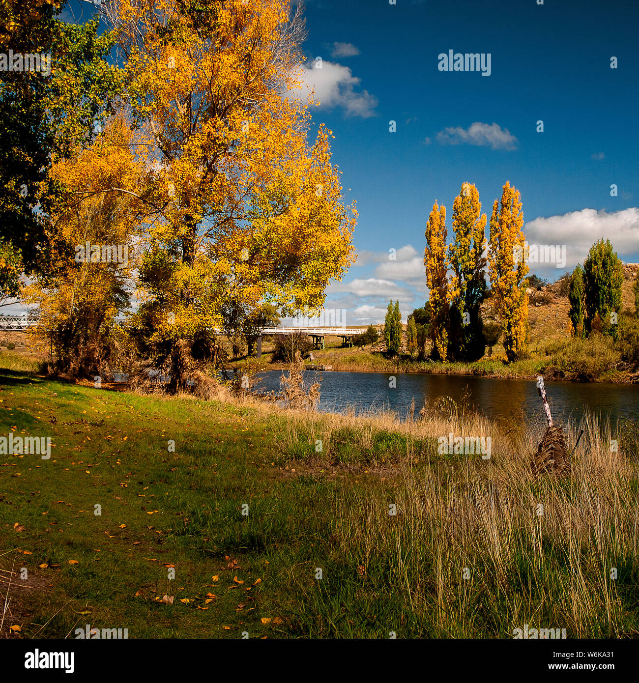 Snowy River, Dalgety, Snowy Mountains, NSW, Australia with trees in autumn colours Stock Photo