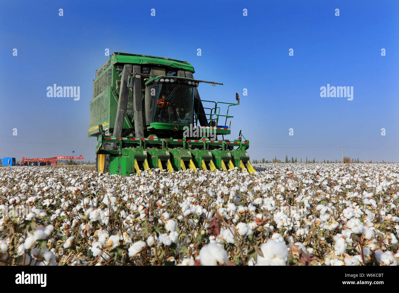 A reaping machine harvests cotton in the field in a village in Bohu ...