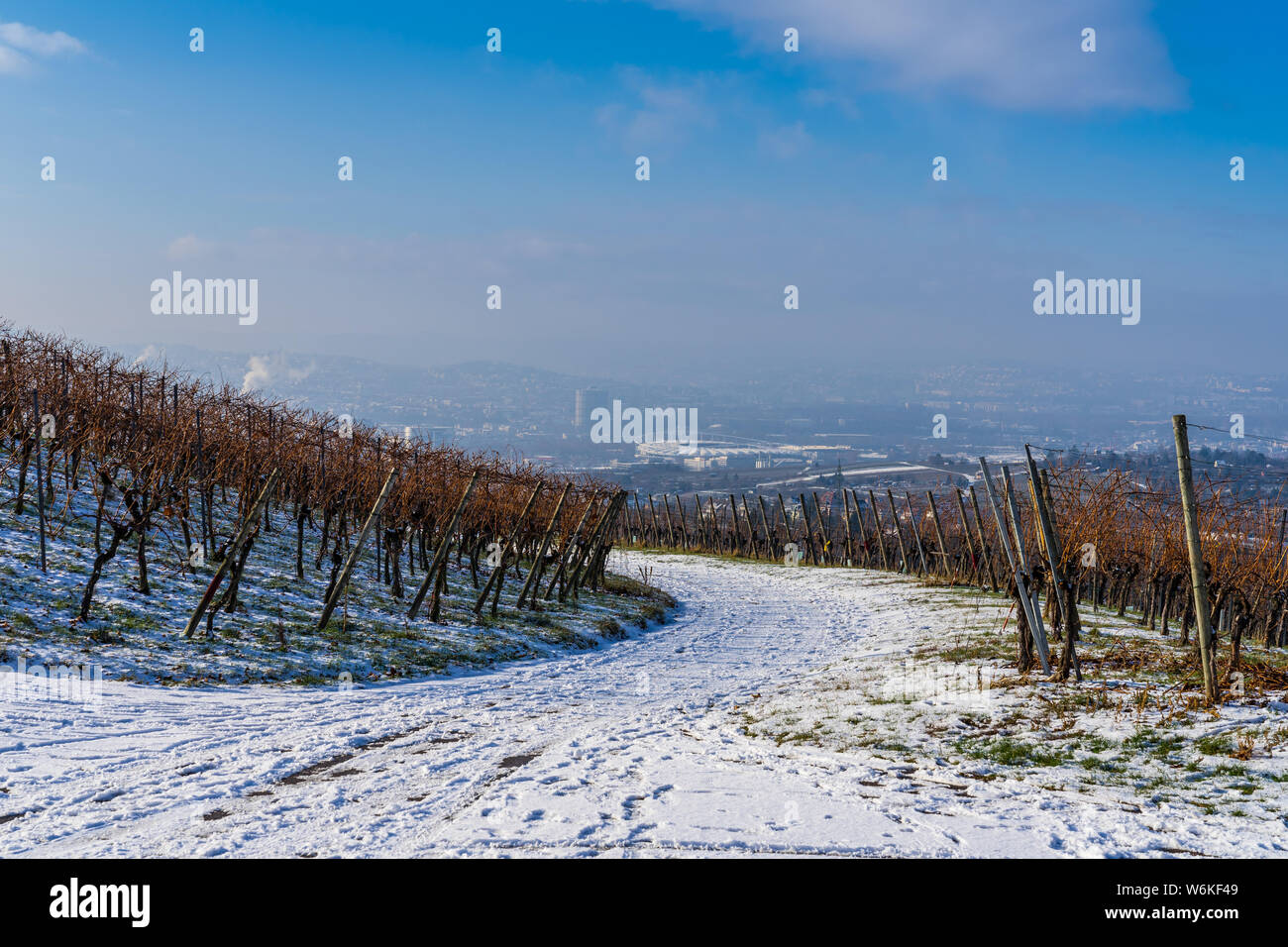 Germany, Stuttgart city and arena behind vineyard road bend of ...