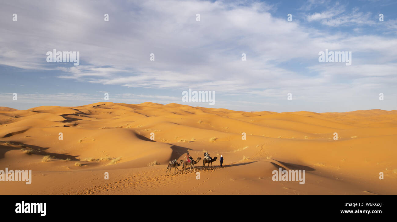 Stunning view of some tourists riding camels on the dunes of the Thar ...