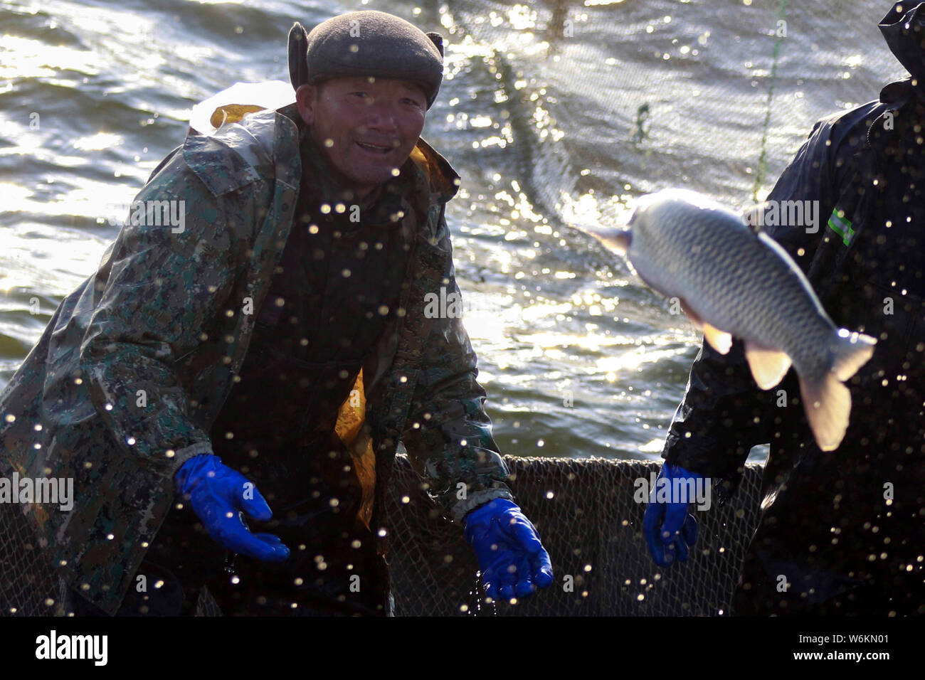 Chinese fisherman catches fish hi-res stock photography and images - Alamy