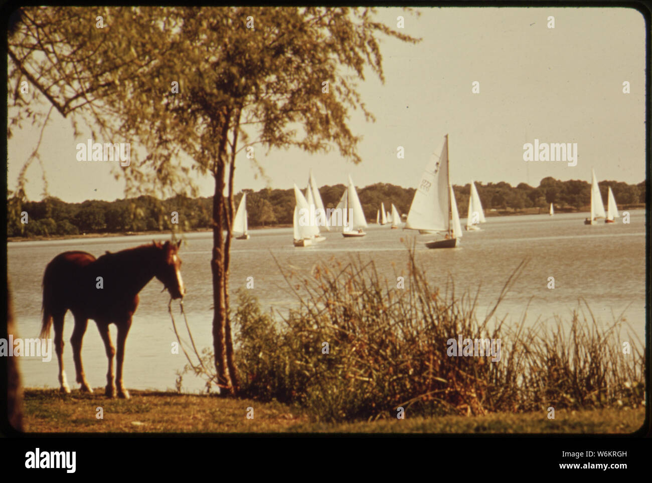 SUNDAY AFTERNOON AT WHITE ROCK LAKE, ONE OF THE CITY'S MOST POPULAR