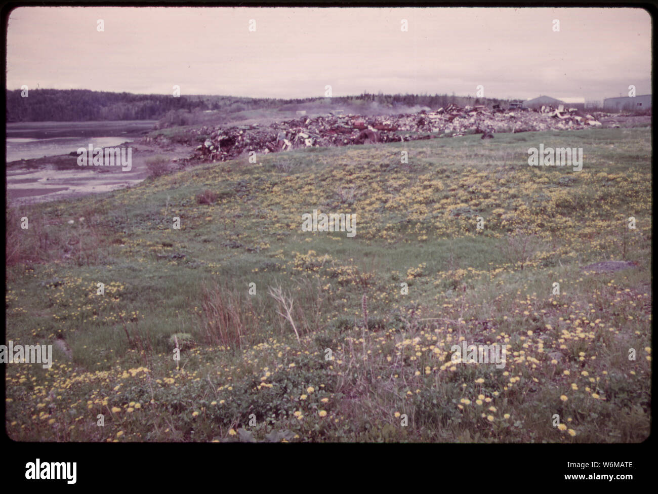 TOWN DUMP AT EASTPORT, LOOKING TO THE BAY Stock Photo Alamy