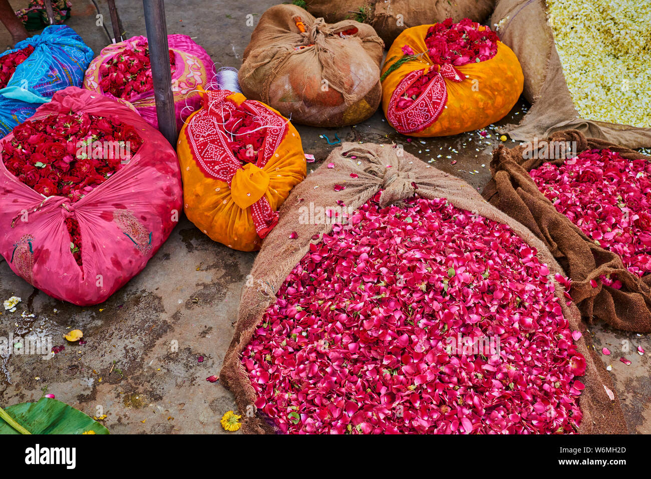 India, Rajasthan, Jaipur, flower market Stock Photo Alamy