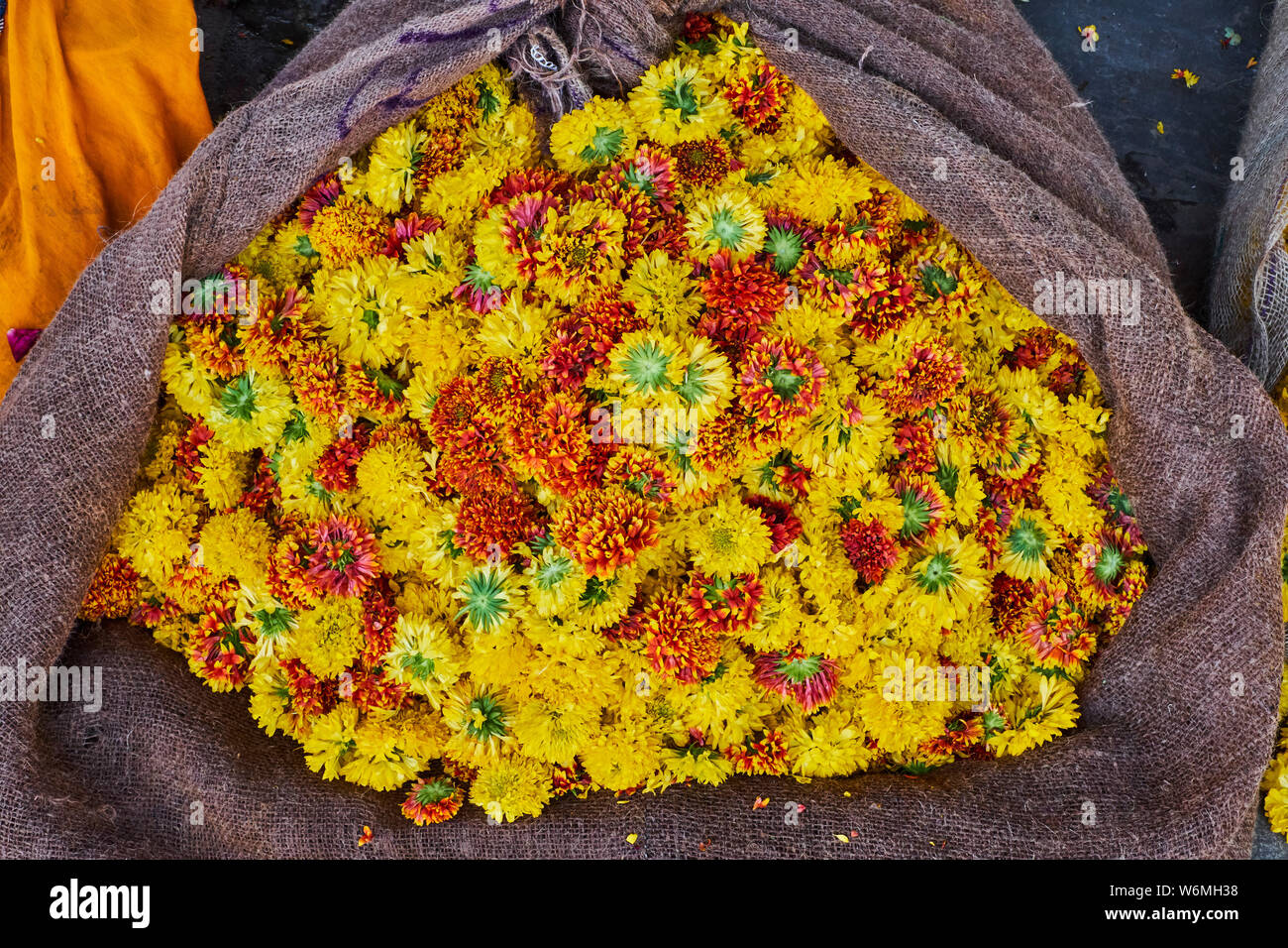 India, Rajasthan, Jaipur, flower market Stock Photo Alamy