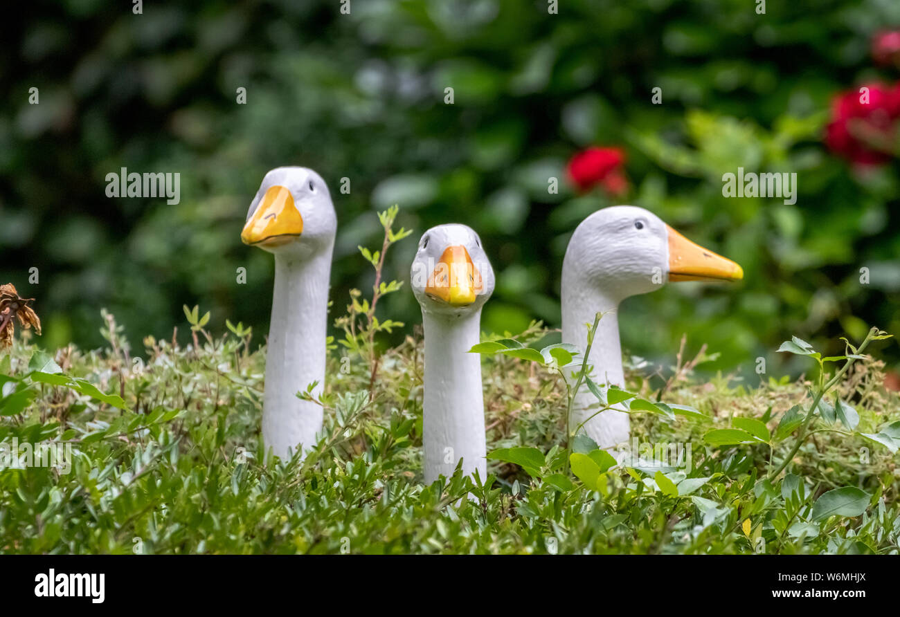 porcelain goose looking pout of the meadow Stock Photo - Alamy