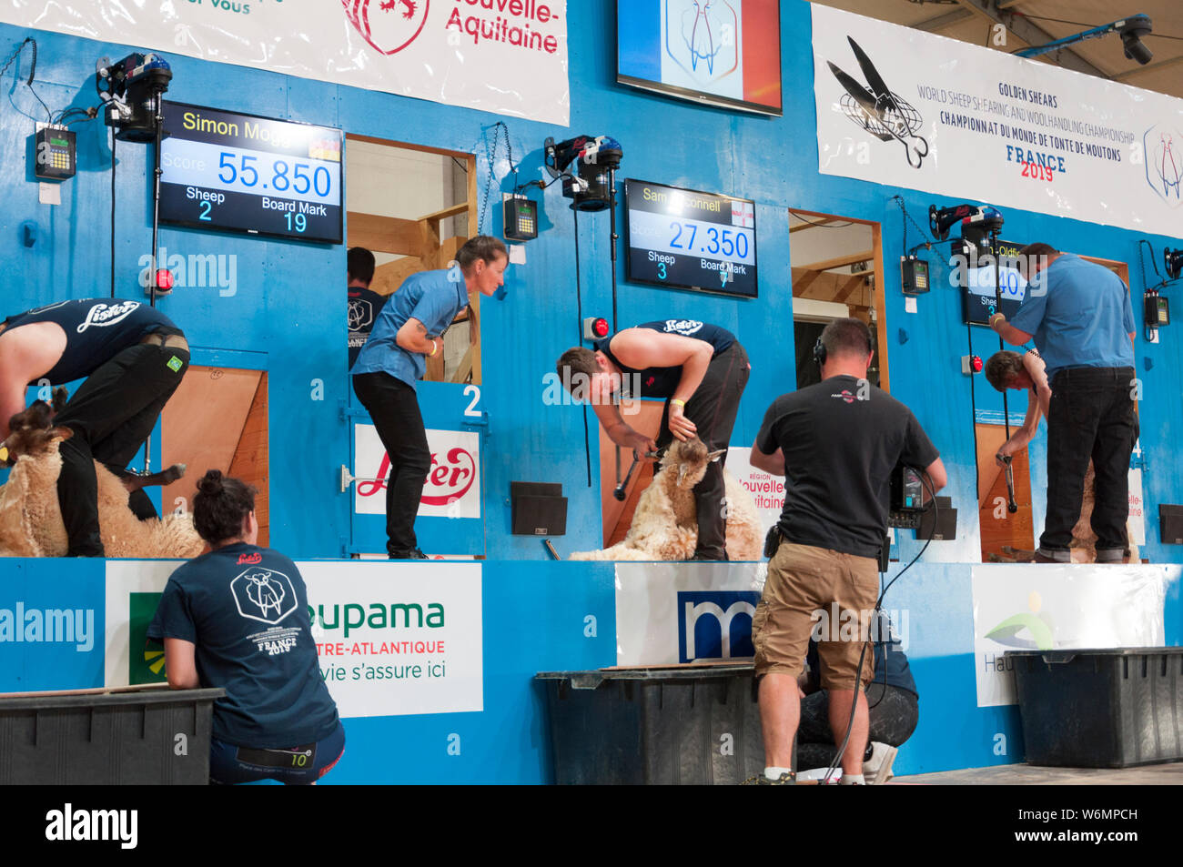 World Sheep Shearing Competition France 2019 Stock Photo Alamy