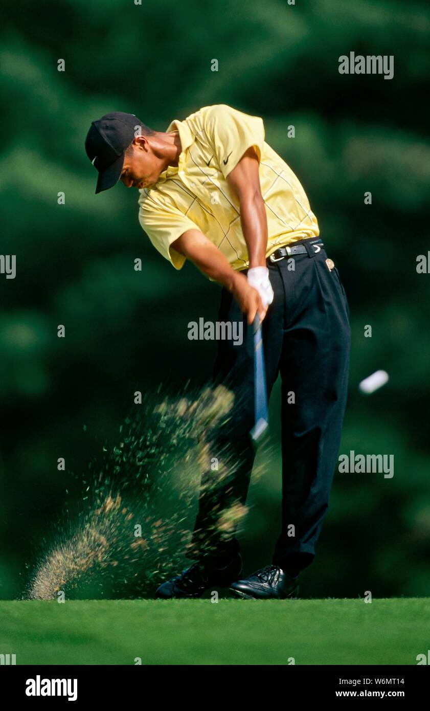 Tiger Head Hat High Resolution Stock Photography And Images Alamy
