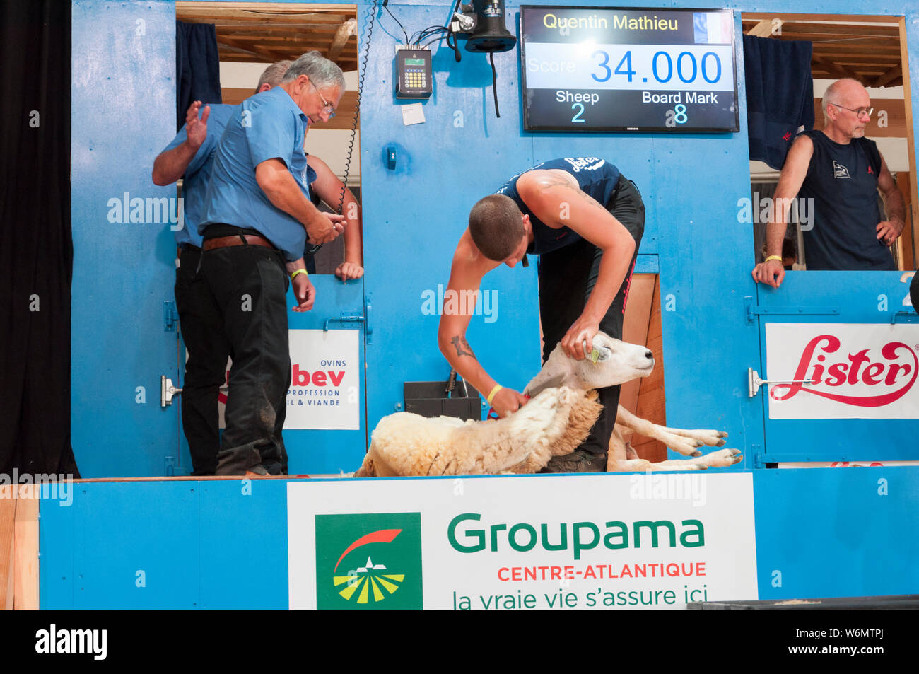 World sheep shearing championships le dorat france hires stock