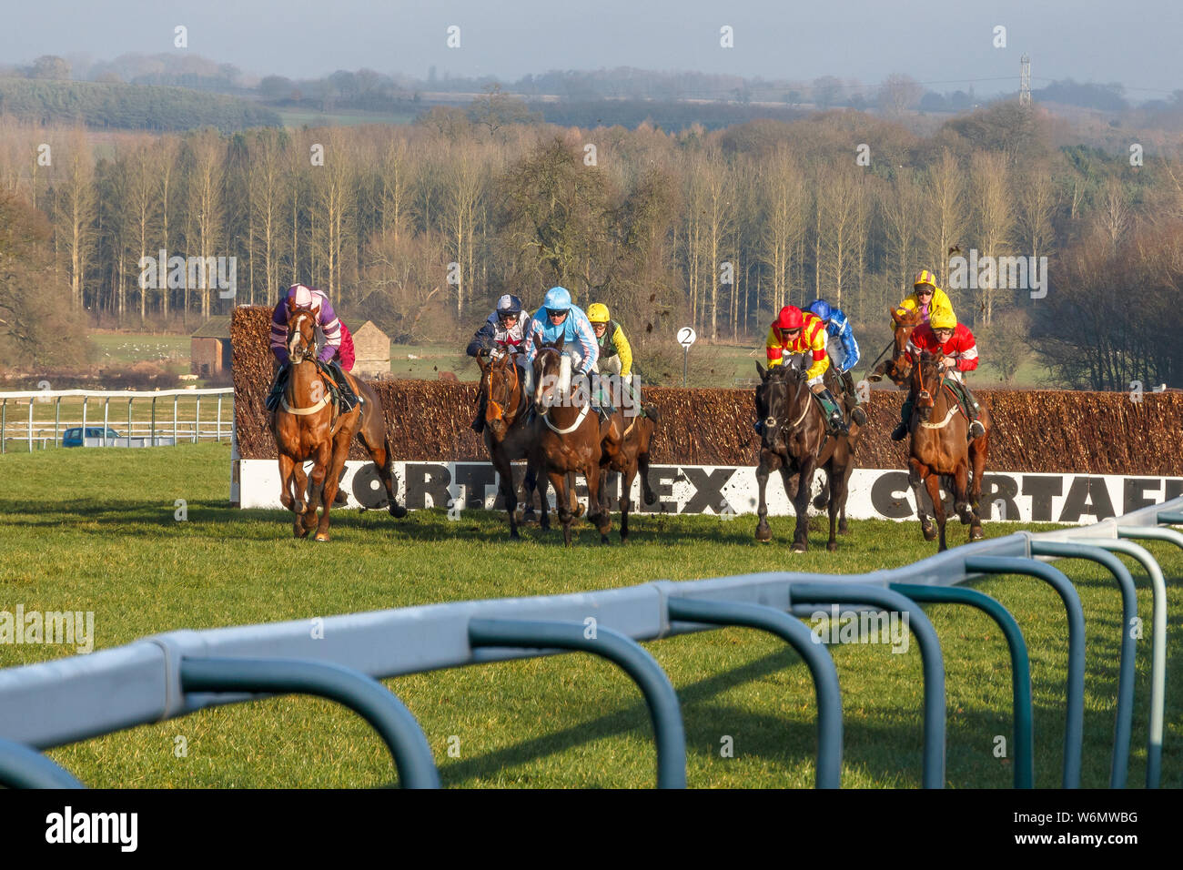 Horse racing over hurdles at Towcester Races, Northamptonshire England Stock Photo