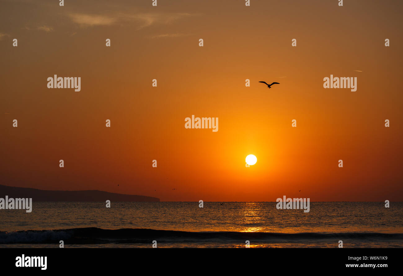 Beautiful sunset over coconut hi-res stock photography and images - Alamy