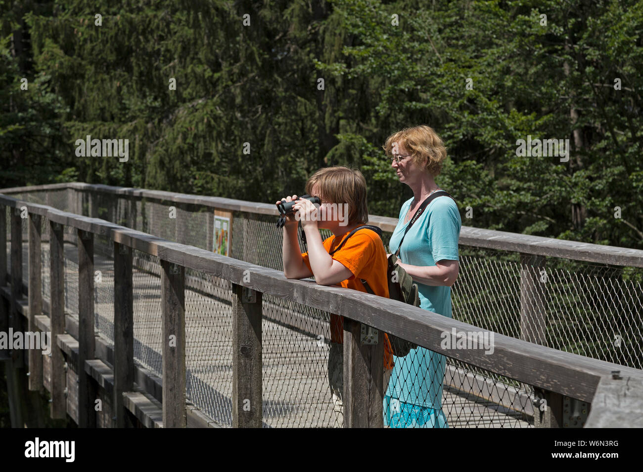 boy looking through binoculars while mother is watching on tree-top walk, Neuschönau, National Park, Bayerischer Wald, Bavaria, Germany Stock Photo
