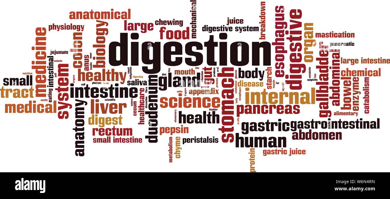 Digestion word cloud concept. Collage made of words about digestion. Vector illustration Stock Vector
