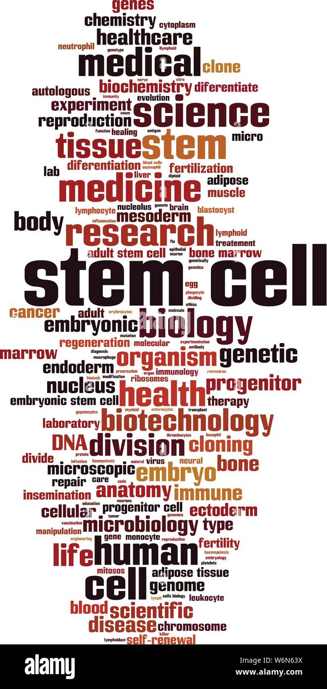 Stem cell word cloud concept. Collage made of words about stem cell. Vector illustration Stock Vector