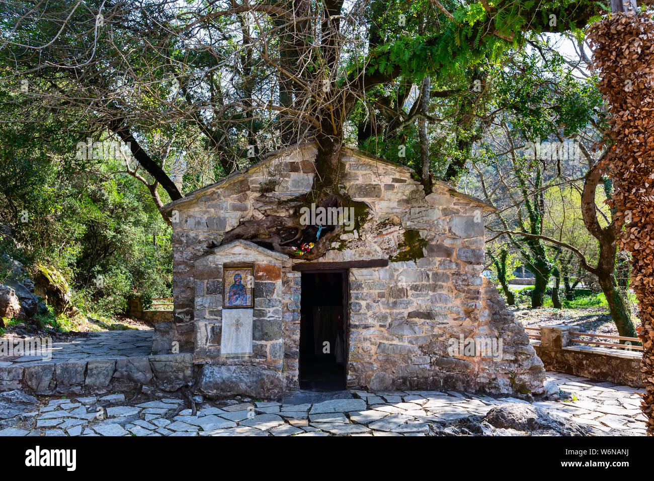 Agia Theodora of Vasta miracle church in Peloponnese, Greece. Trees growing on the roof without