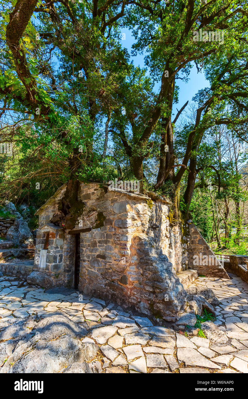 Theodora Tree Agia Theodora High Resolution Stock Photography and Images - Alamy