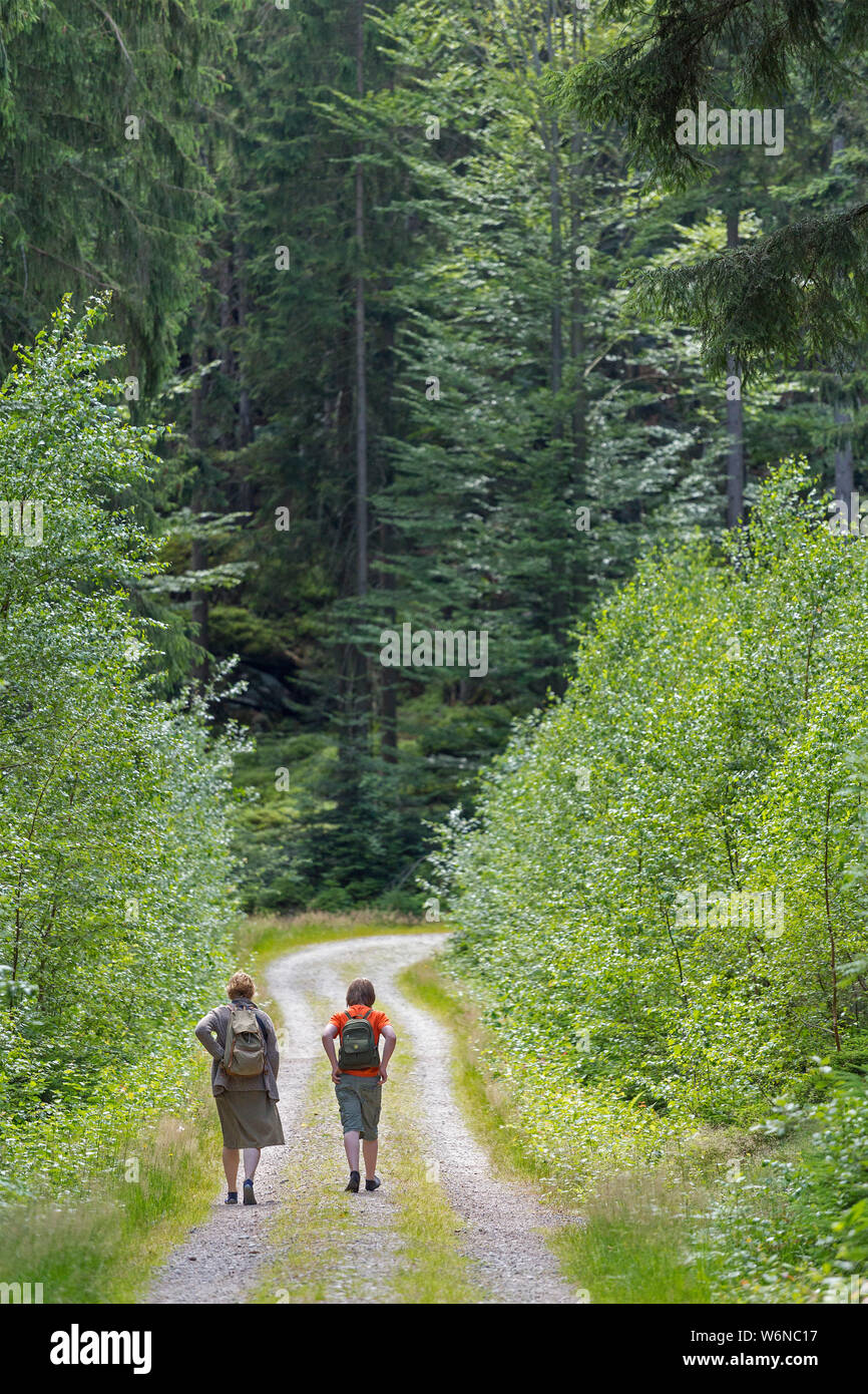 mother and son hiking to Mount Riedelstein, Eck, Bavarian Forest, Bavaria, Germany Stock Photo