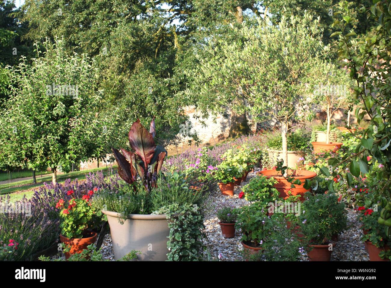 Early morning walled garden in sunlight. Wiltshire UK Stock Photo