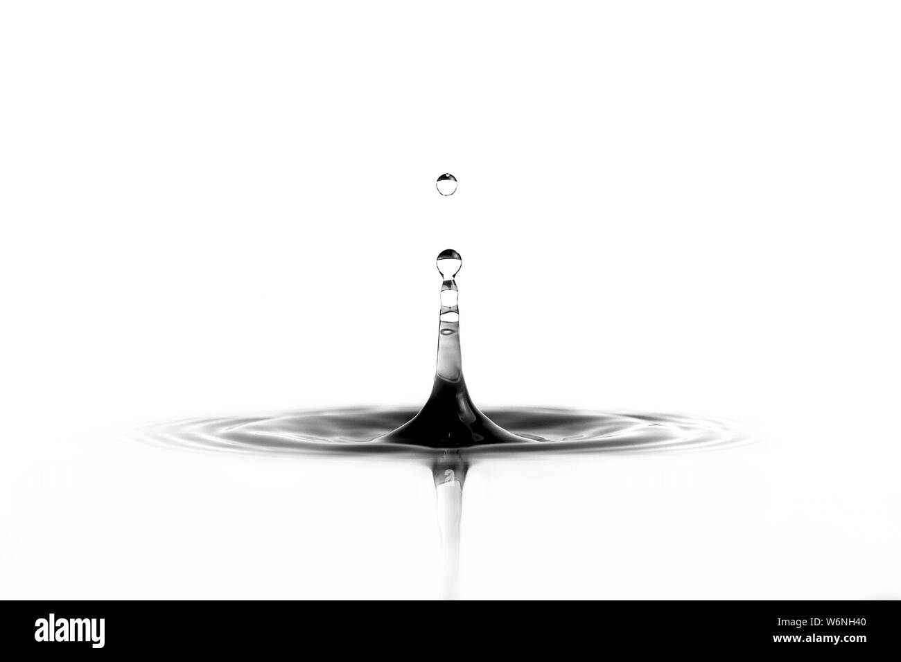 Water Drops White Background