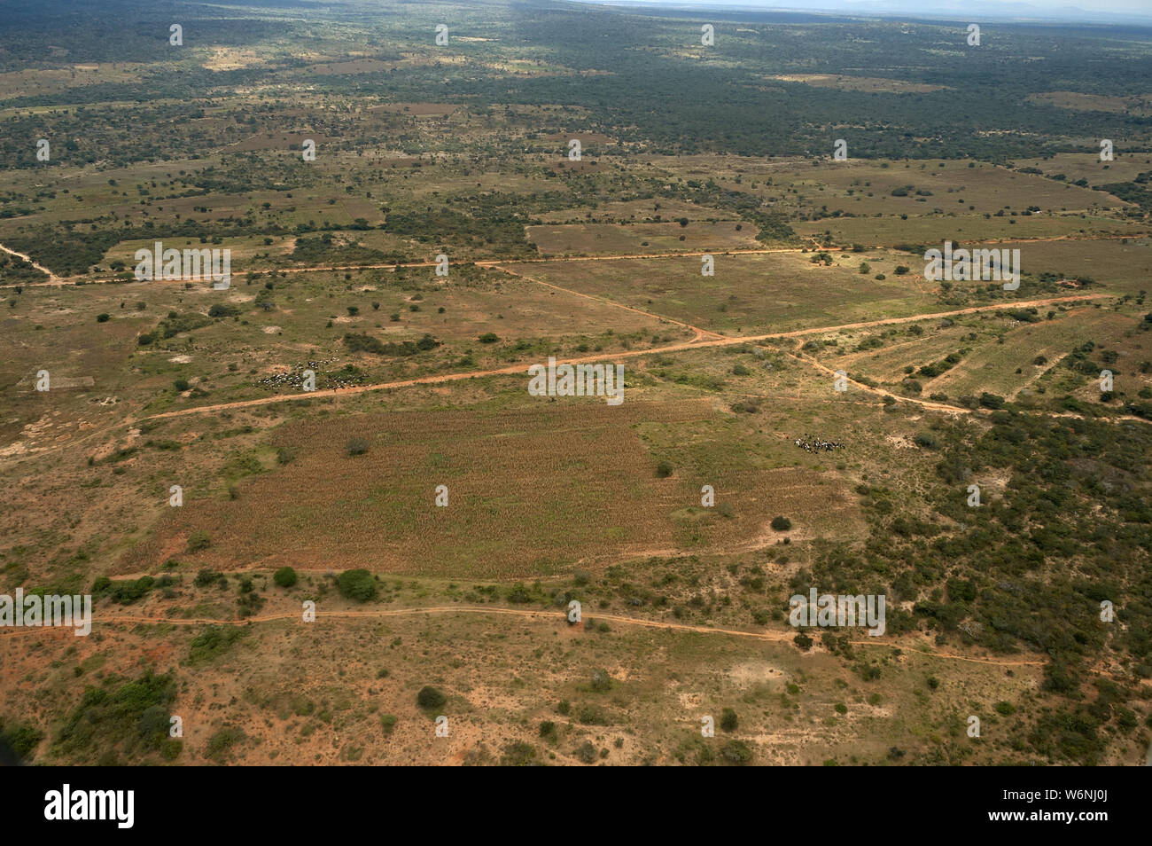 Aerial view of Kibaya airstrip, Tanzania Stock Photo