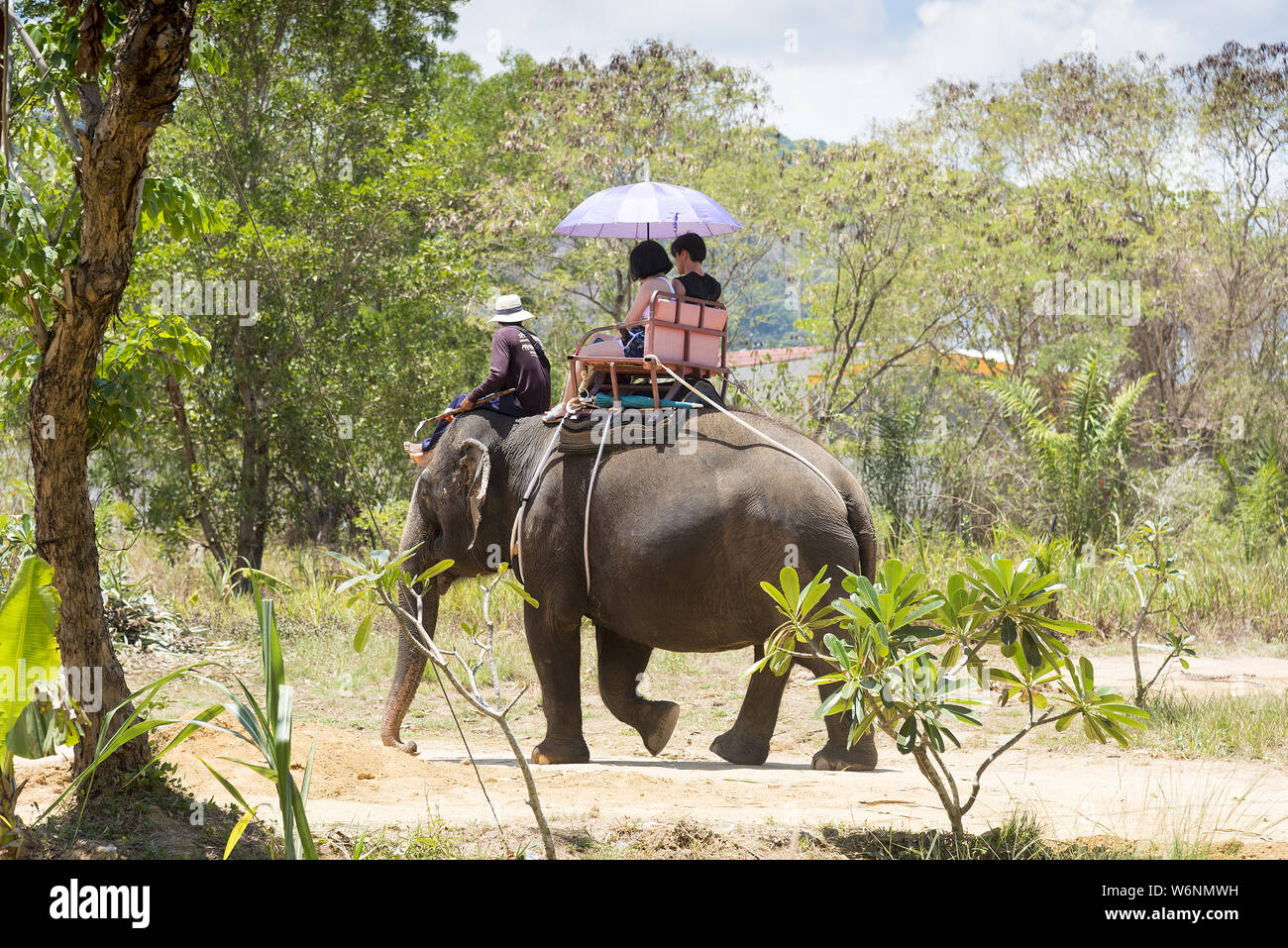 Phuket, Thailand 04/19/2019 Elephant bathing camp in Phuket with