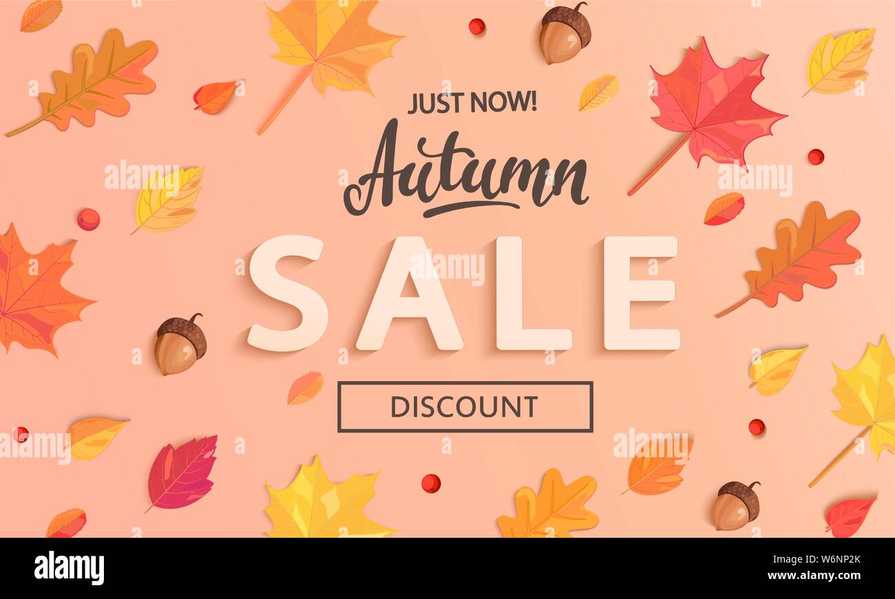 Autumn Sale banner with fall leaves. Stock Vector