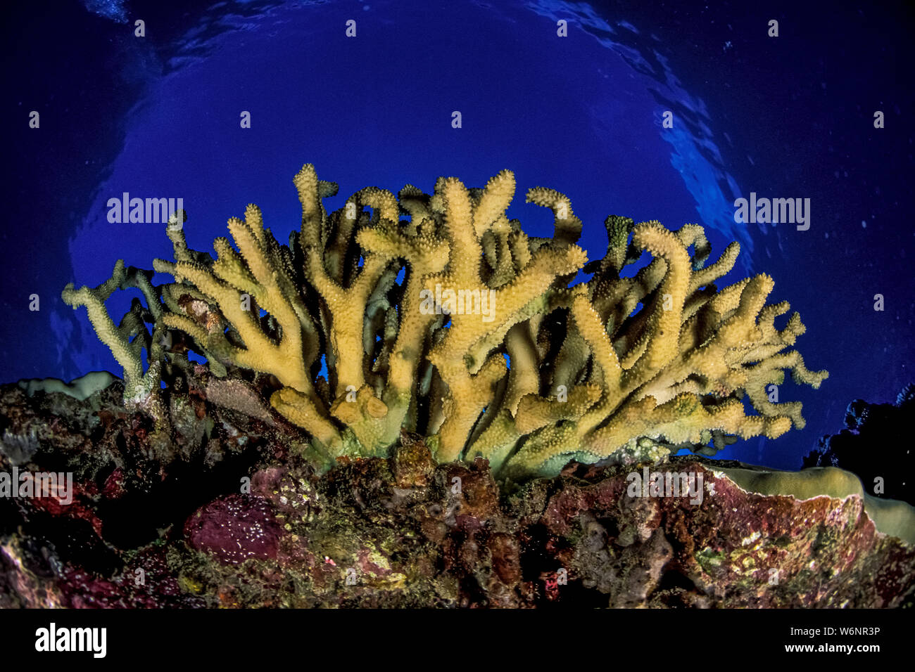 Yap visual data 5