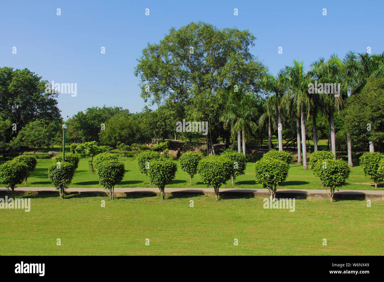 Trees in a park, India Stock Photo - Alamy