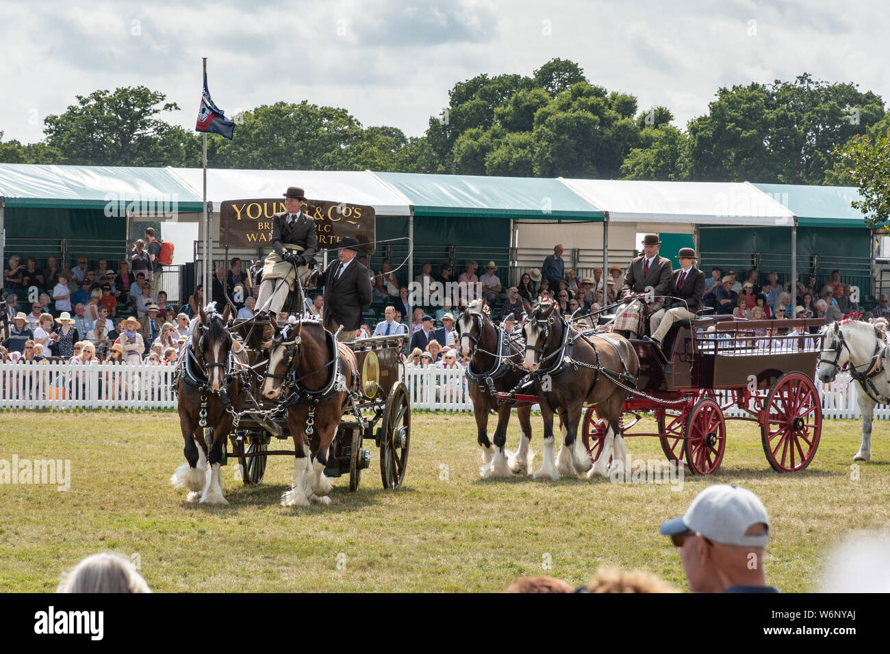 New Forest And Hampshire County Show 2019 The Heavy Horse Musical new-forest-and-hampshire-county-show-2019-the-heavy-horse-musical