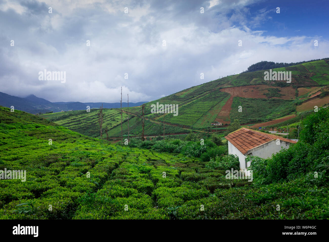 Coorg hi-res stock photography and images - Alamy