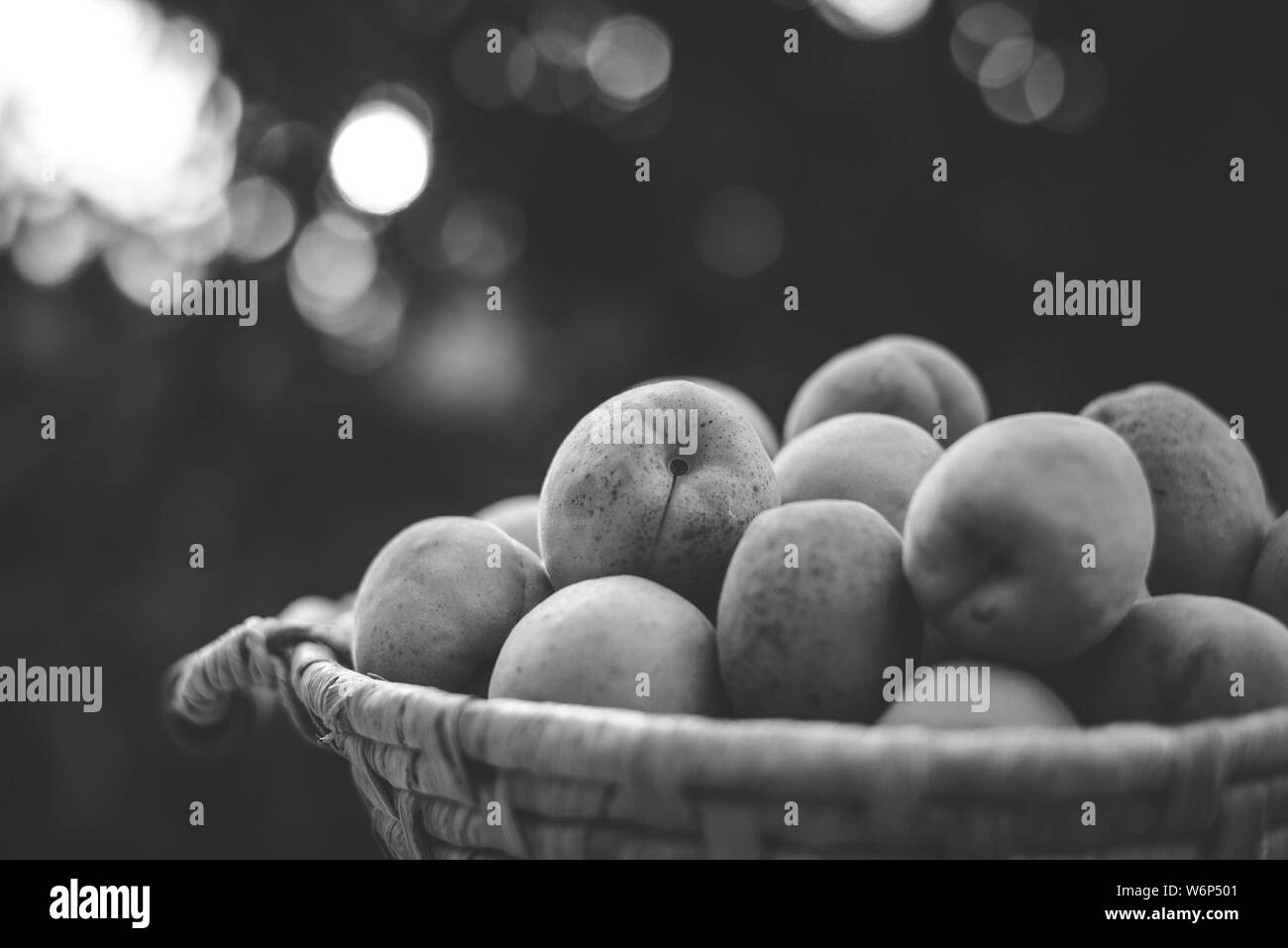 Ripe apricots on bokeh background. Apricots on the basket with natural bokeh sunset background. Various fresh summer fruits. Ripe and tasty apricots. Stock Photo