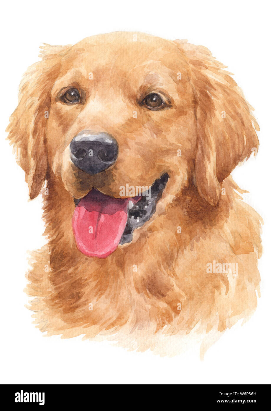 Water Colour Painting Of Dogs Golden Hairs Golden Retriever 057