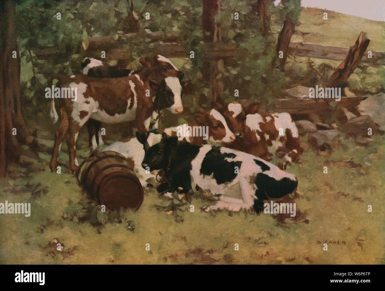 'Contentment', c1903, (c1930). Ayrshire cattle resting in the shade. Painting in the Glasgow Museums Service collection, Glasgow, Scotland. From &quot;Modern Masterpieces of British Art&quot;. [The Amalgamated Press Ltd., London, c1930] Stock Photo