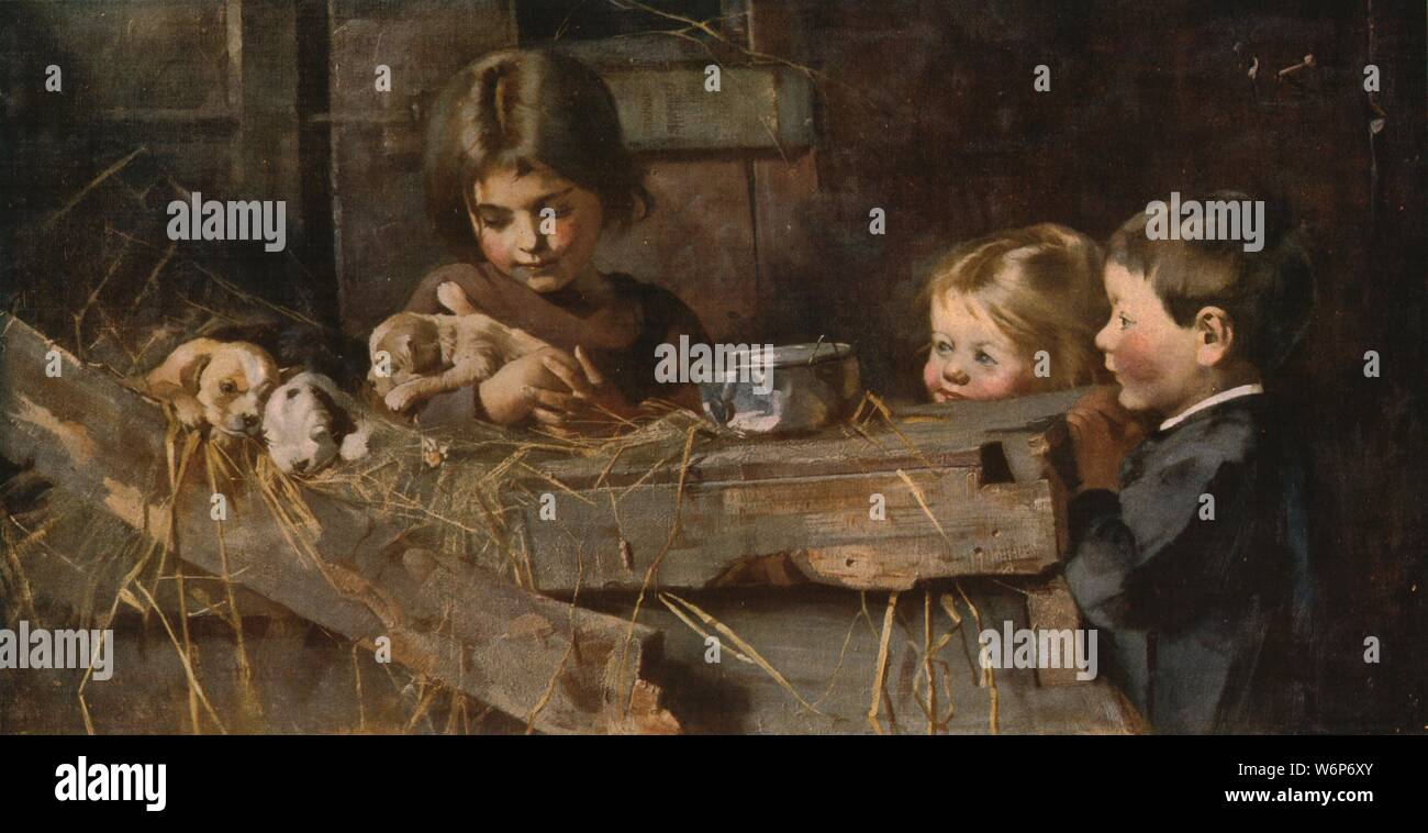 'Childhood's Treasures', 1886, (c1930). Children with a litter of newborn puppies. Painting in the Nottingham Castle Museum and Art Gallery, Nottingham. From &quot;Modern Masterpieces of British Art&quot;. [The Amalgamated Press Ltd., London, c1930] Stock Photo