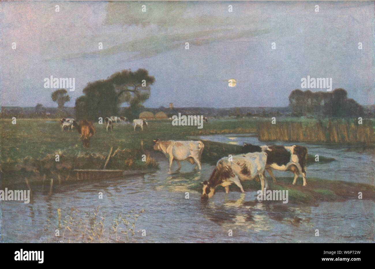 'The Ford', late 19th-early 20th century, (c1930). Cows drinking in a shallow river at dusk. Painting in the Gallery Oldham, Greater Manchester. From &quot;Modern Masterpieces of British Art&quot;. [The Amalgamated Press Ltd., London, c1930] Stock Photo