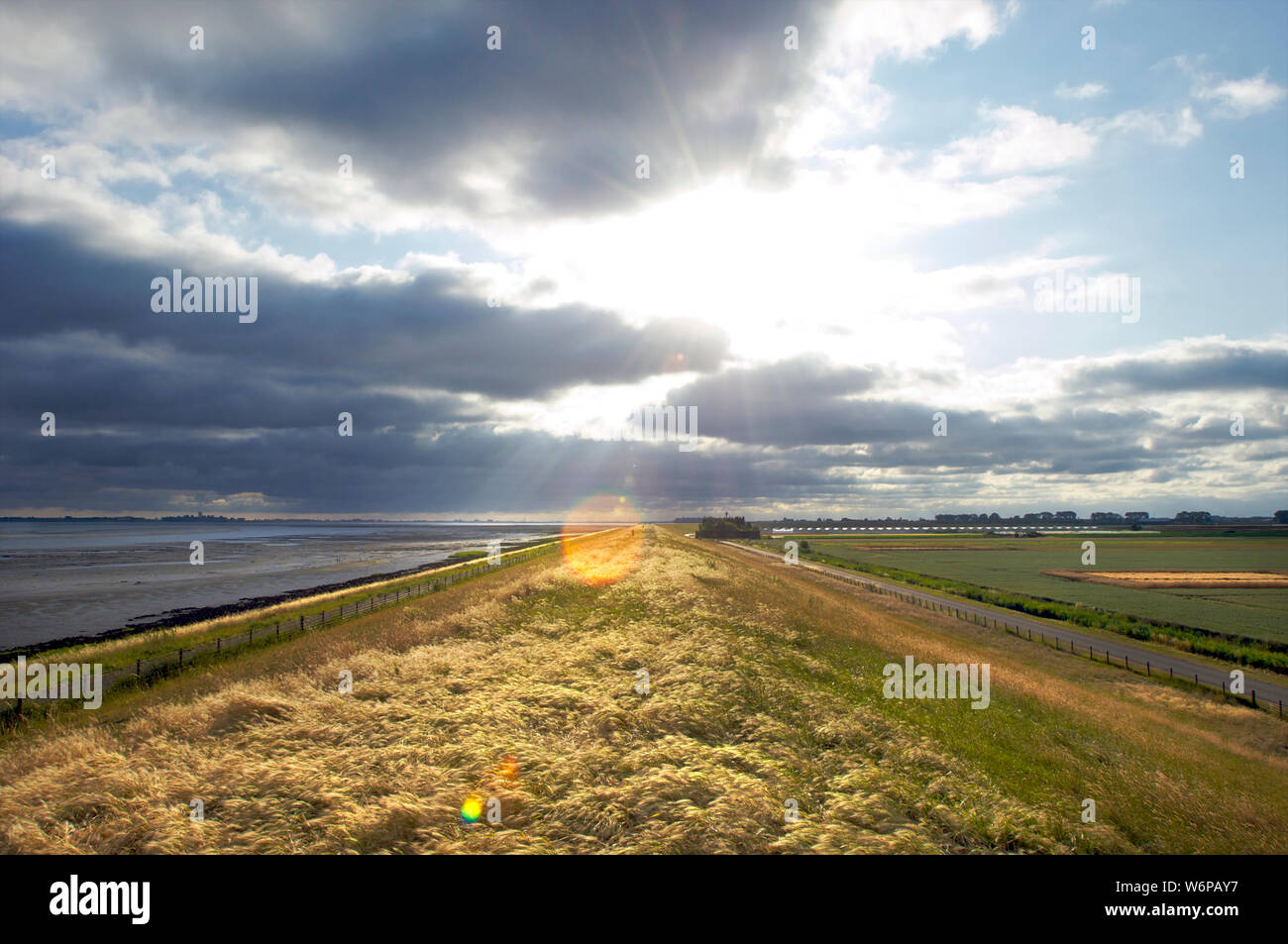 The Western Scheldt at low tide and the dike used as farmland on the island of Walcheren in Zeeland, the Netherlands Stock Photo