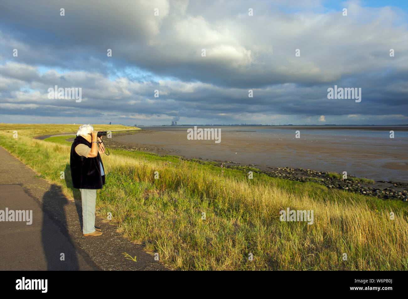 Active senior with binoculars looking at the Westerschelde during low tide with Doel nuclear power plant in the background in Zeeland, the Netherlands Stock Photo
