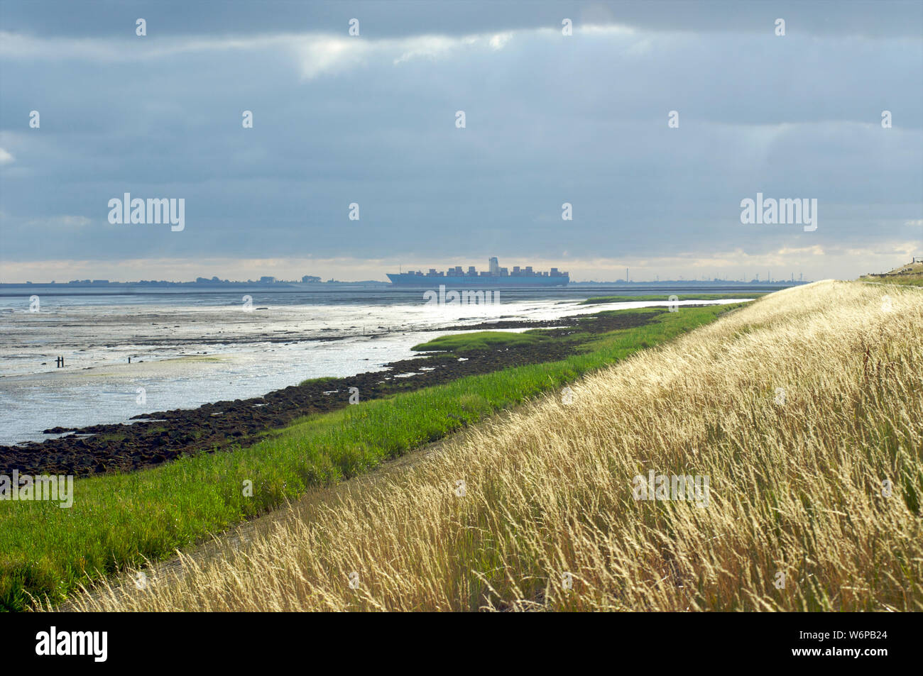 A large container ship sails on the Westerschelde during low tide behind the dike in Zeeland, the Netherlands Stock Photo