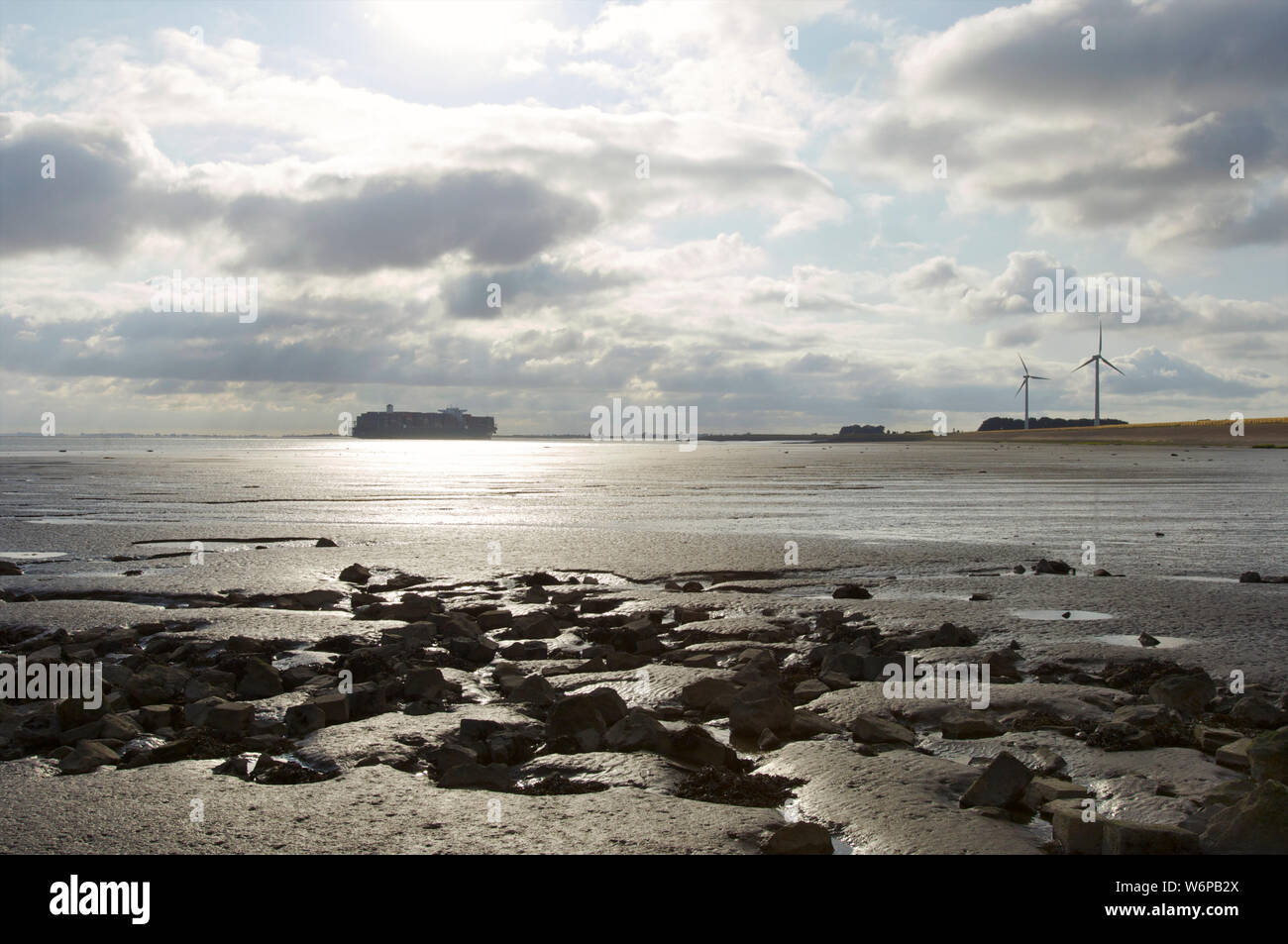 Low tide with sandbars visible at the Wester Schelde while a container ship passes over the Western Scheldt on its way to Antwerp, The Netherlands Stock Photo