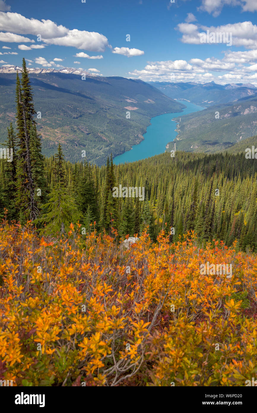 Bright orange foliage and dark green forest on the slopes of Mount Revelstoke National Park, BC, Canada, with views from the Eagle Knoll Trail. Stock Photo