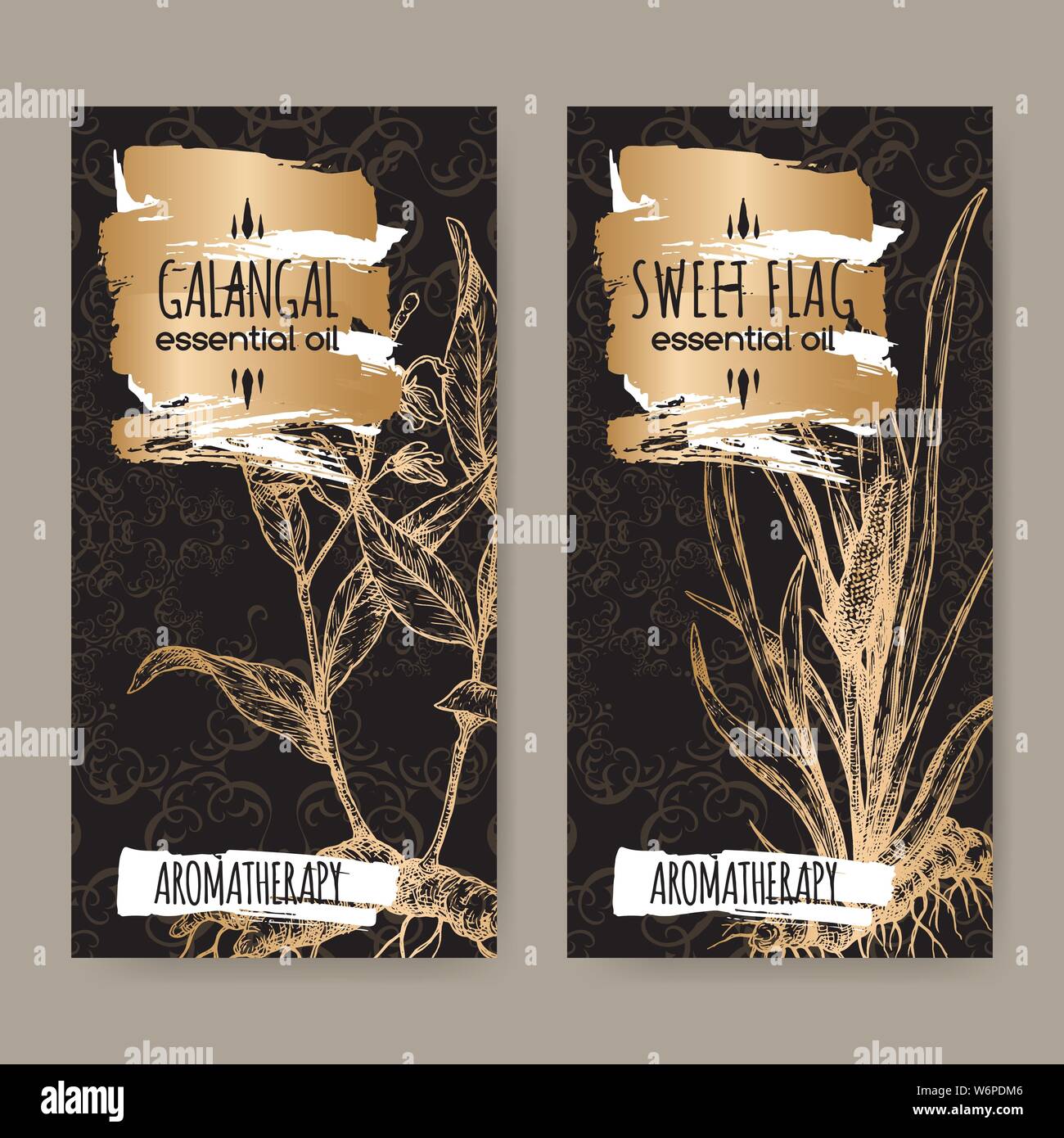 Two labels with Acorus calamus aka sweet flag and Alpinia galanga aka greater galangal sketch on elegant black lace background. Great for traditional Stock Vector